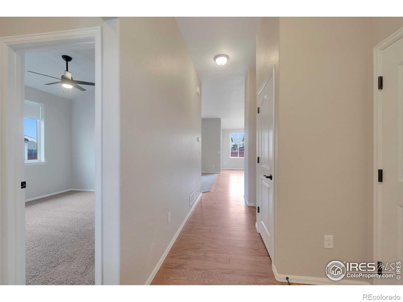 1867 Abundance Dr, Windsor, CO 80550