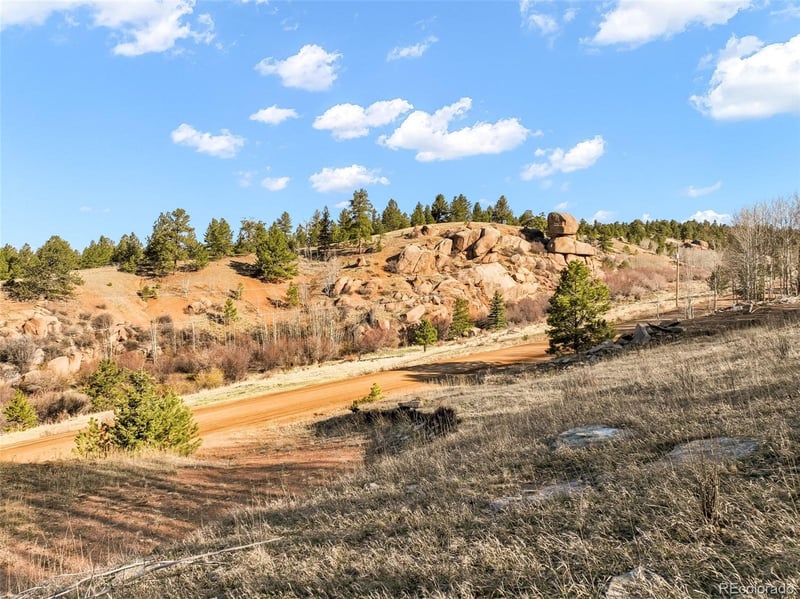 690 Anges Dr, Cripple Creek, CO 80813