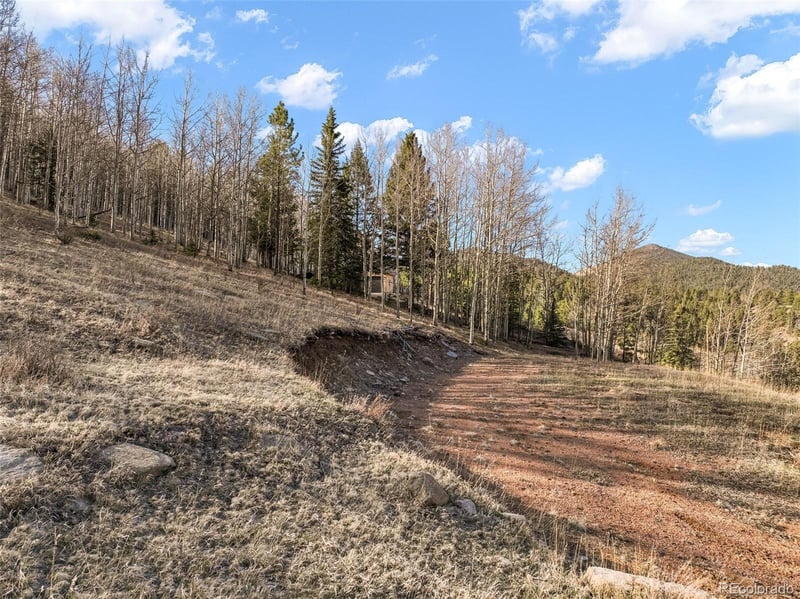 690 Anges Dr, Cripple Creek, CO 80813