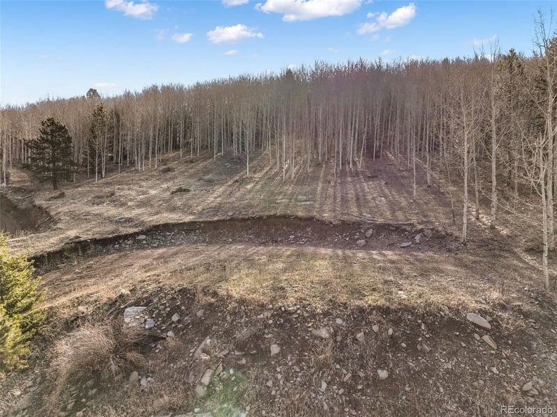 690 Anges Dr, Cripple Creek, CO 80813