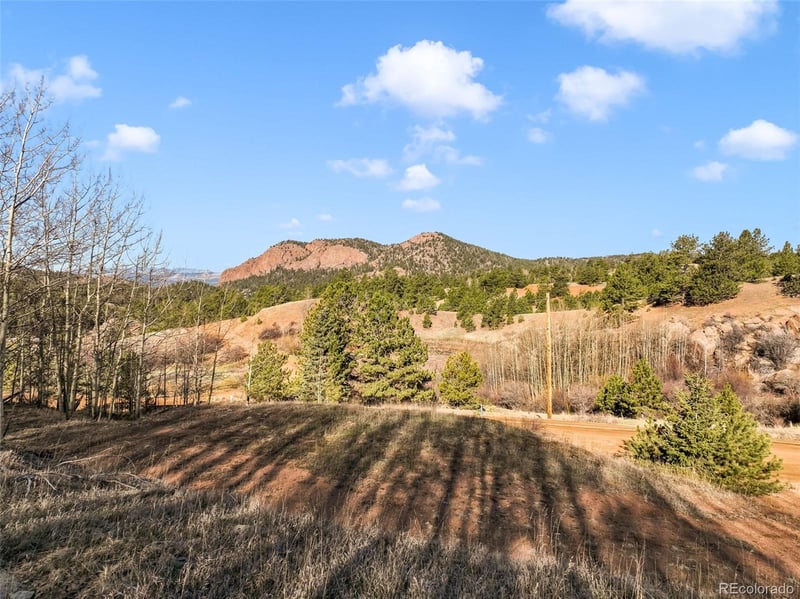 690 Anges Dr, Cripple Creek, CO 80813