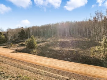 690 Anges Dr, Cripple Creek, CO 80813