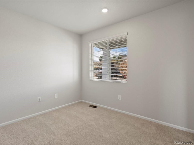 1637 Yampa River Dr, Windsor, CO 80550