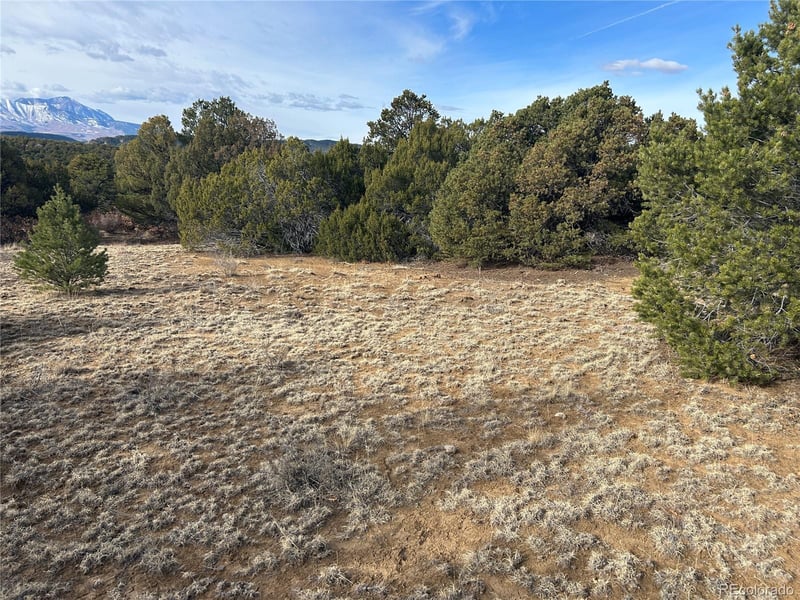 Lot 142a Silver Spurs Ranch Lot 142a, Walsenburg, CO 81089