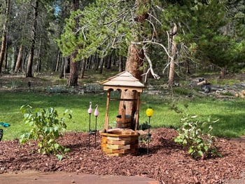 1447 Coyote Cir, Black Hawk, CO 80422