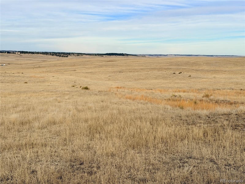 03 County Road 122, Ramah, CO 80832