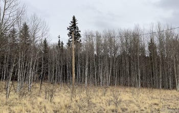 688 Ouray Trl, Como, CO 80432