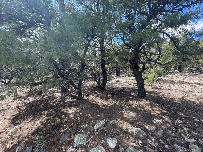 2723 Happy Hollow Way, Crestone, CO 81131