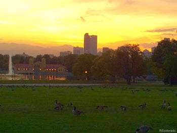 2551 York St, Denver, CO 80205