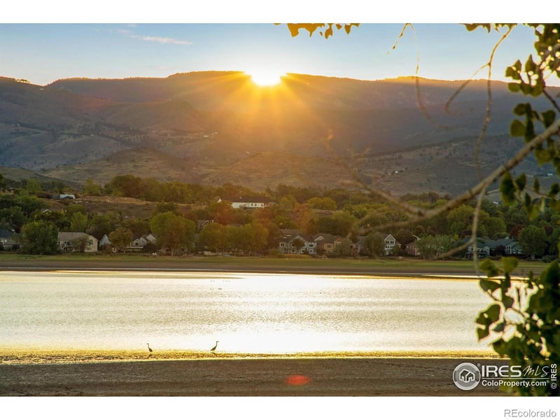 4821 Hay Wagon Ct, Loveland, CO 80537