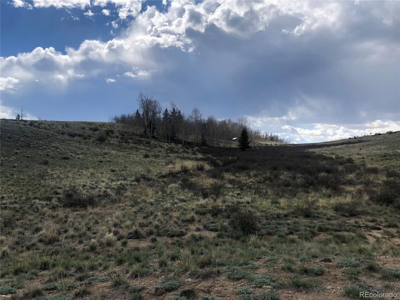 252 Albino Rd, Jefferson, CO 80456
