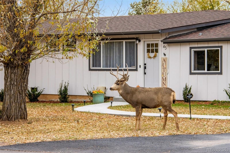 43 S Valley Rd, Palmer Lake, CO 80133