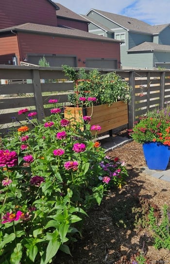 9793 Banner Peak Loop, Littleton, CO 80125