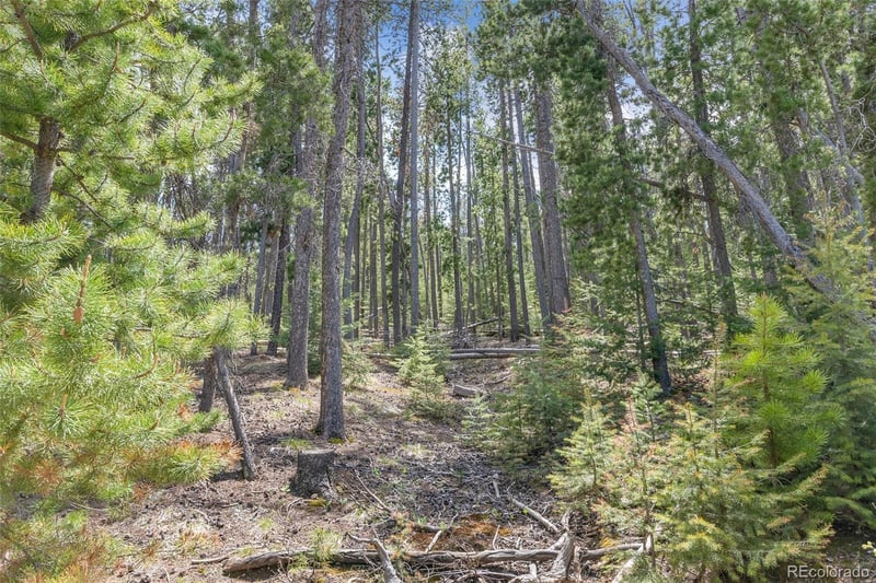 Lost Cabin Trl, Evergreen, CO 80439