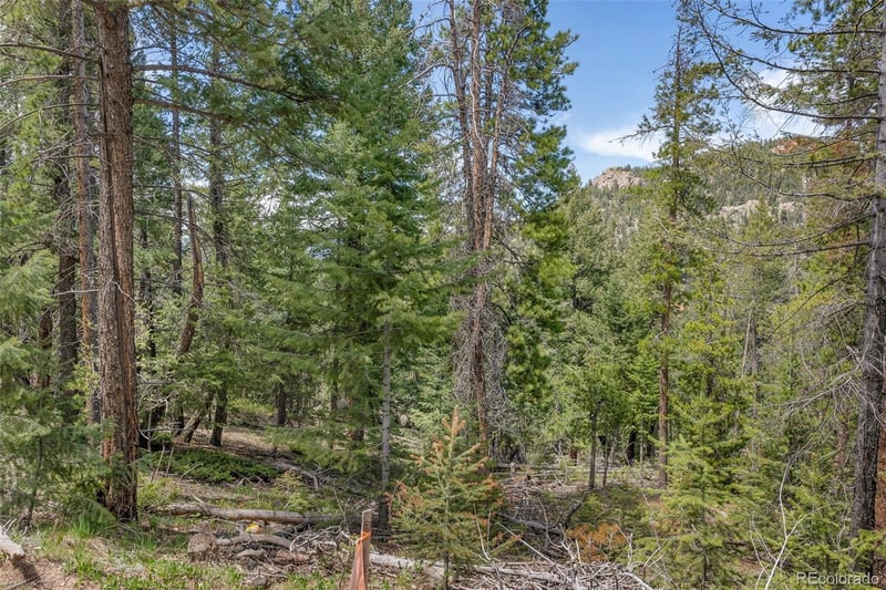 Lost Cabin Trl, Evergreen, CO 80439