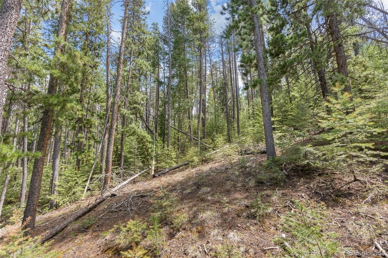 Lost Cabin Trl, Evergreen, CO 80439