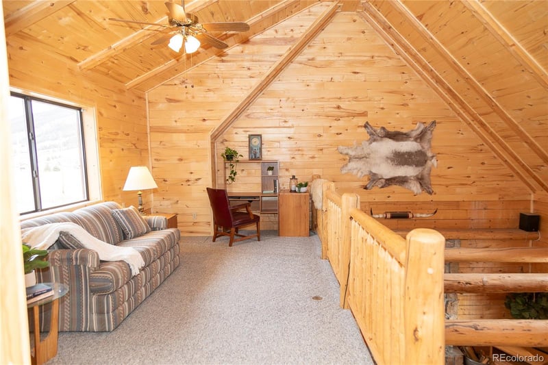 307 Pine Dr, Creede, CO 81130