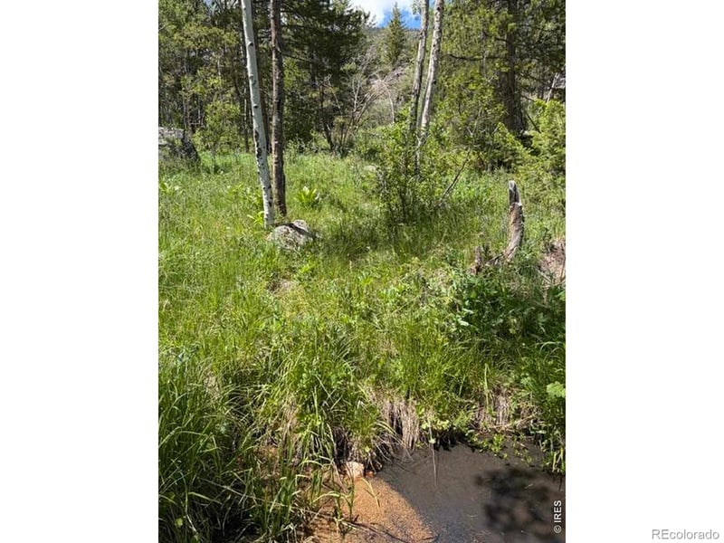 171 Spokane Ct, Red Feather Lakes, CO 80545