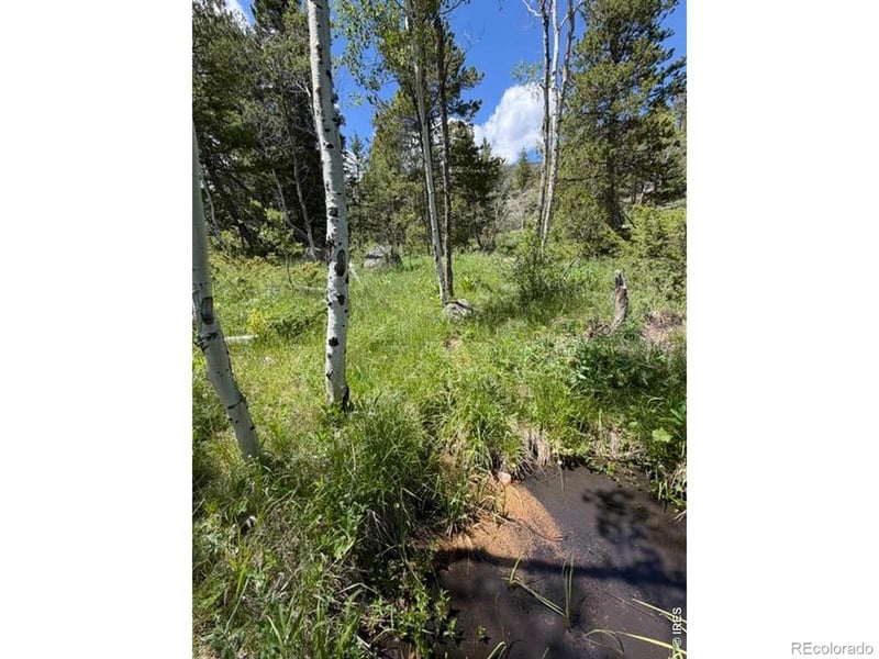 171 Spokane Ct, Red Feather Lakes, CO 80545