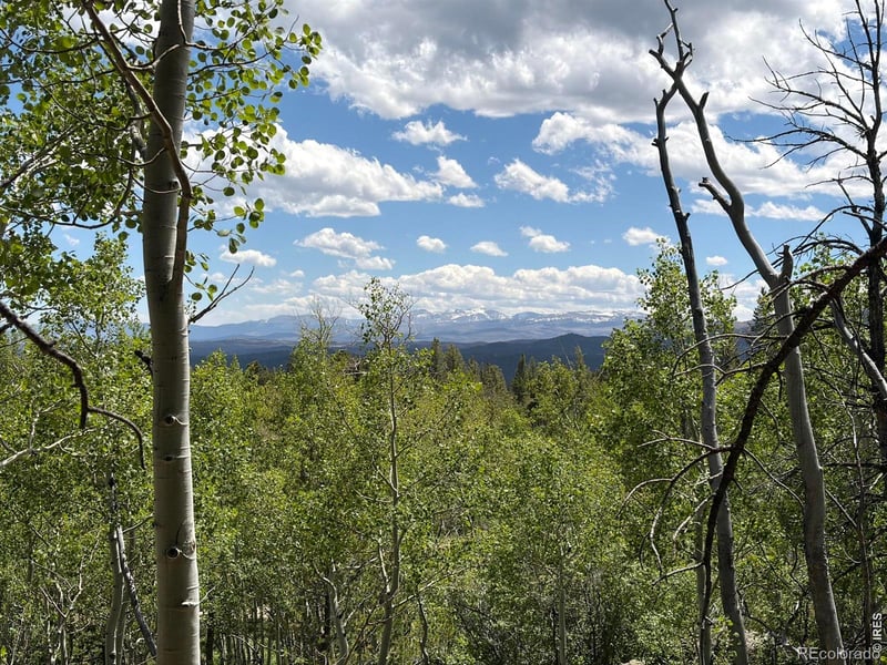 171 Spokane Ct, Red Feather Lakes, CO 80545