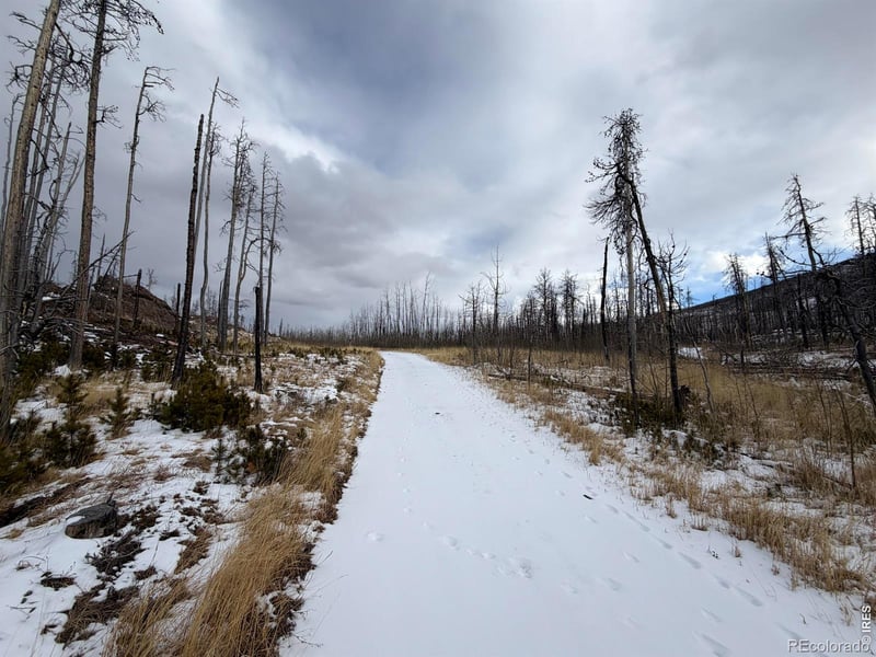 2025 Granite Rd, Bellvue, CO 80512