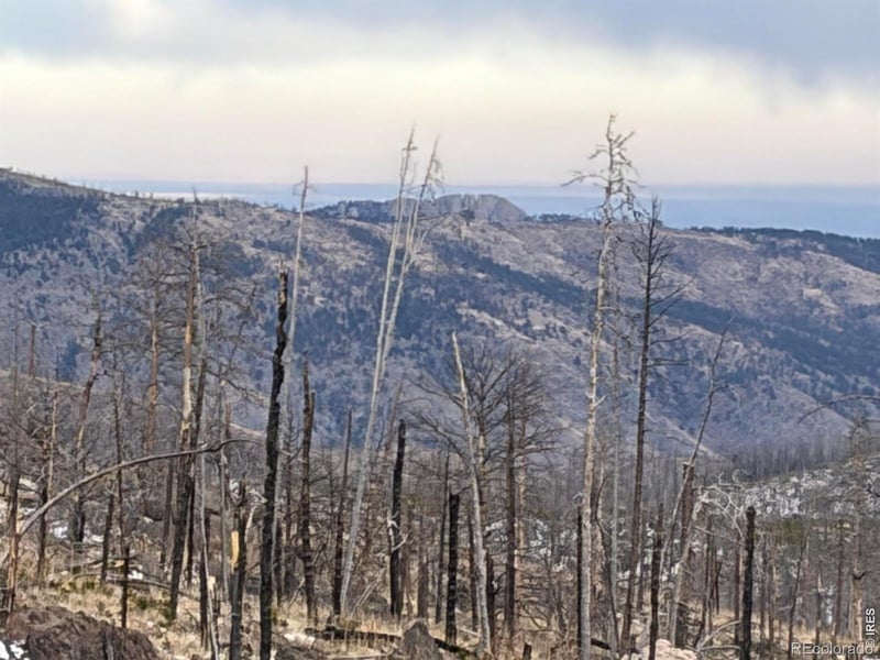 2025 Granite Rd, Bellvue, CO 80512