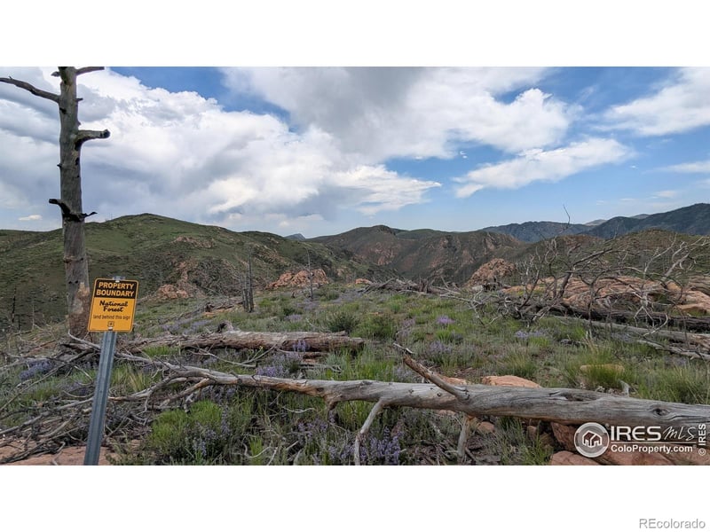 1360 Meadow Mountain Dr, Livermore, CO 80536