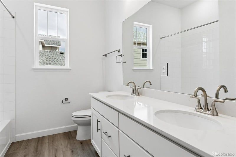 1693 Green Fern Point, Castle Rock, CO 80104