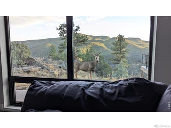 1068 Elkridge Dr, Glen Haven, CO 80532