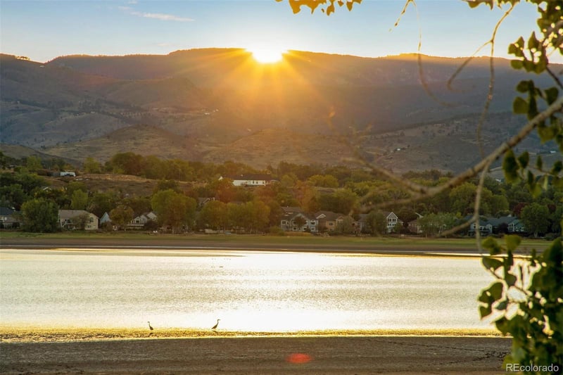 4821 Hay Wagon Ct, Loveland, CO 80537