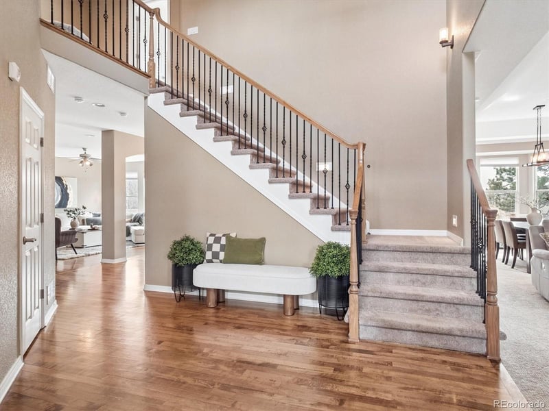 204 Crosshaven Pl, Castle Rock, CO 80104