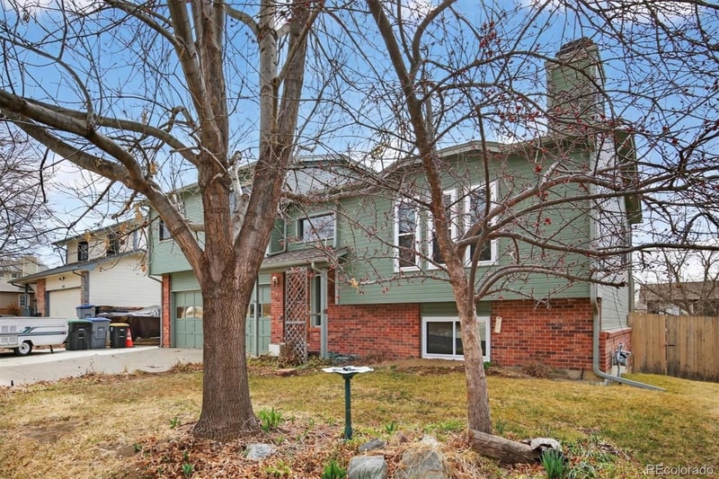 167 Mount Massive Way, Longmont, CO 80504