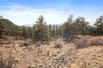 260 Bailey Dr, Bailey, CO 80421