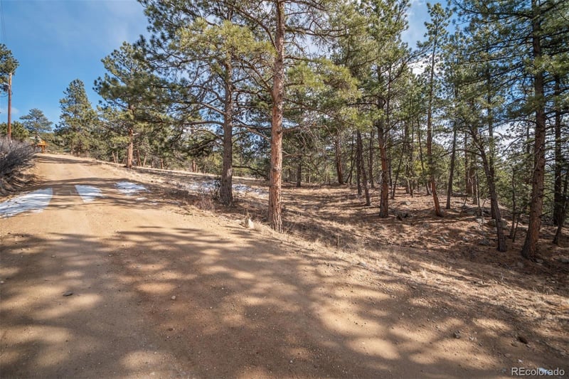 260 Bailey Dr, Bailey, CO 80421