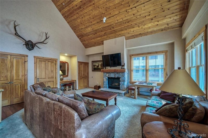 100 Dercum Sq #8359, Dillon, CO 80435