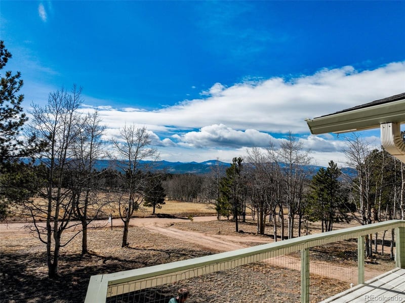 1874 Vagabond Creek Dr, Lake George, CO 80827