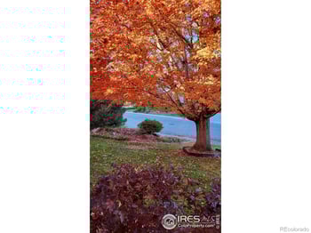 8302 Annapolis Dr, Windsor, CO 80528