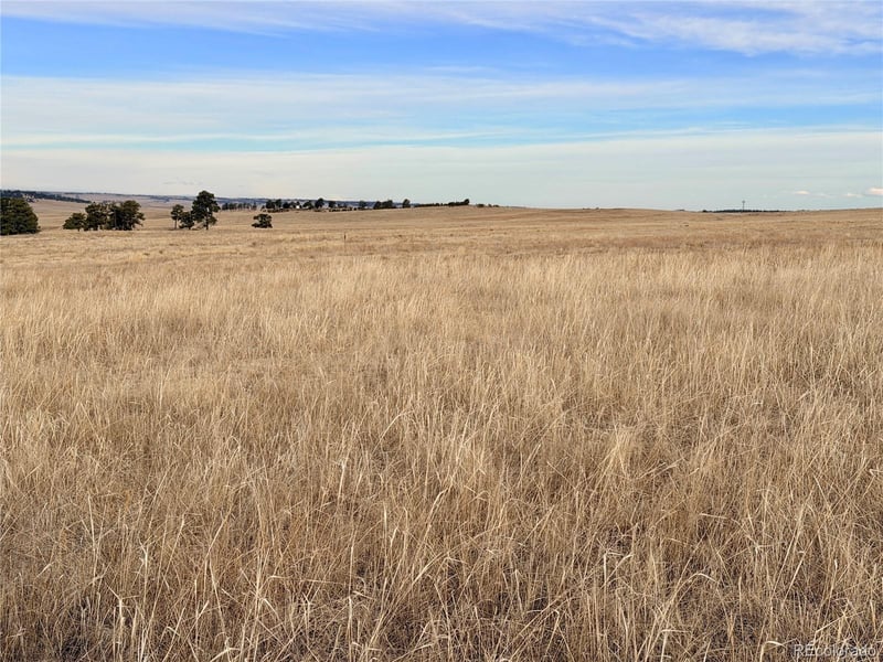 07 County Road 122, Ramah, CO 80832