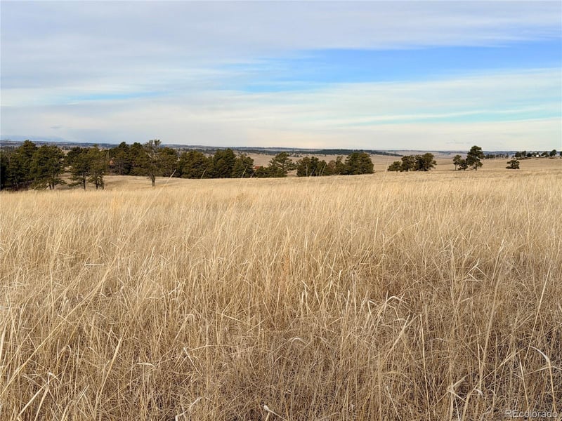 07 County Road 122, Ramah, CO 80832