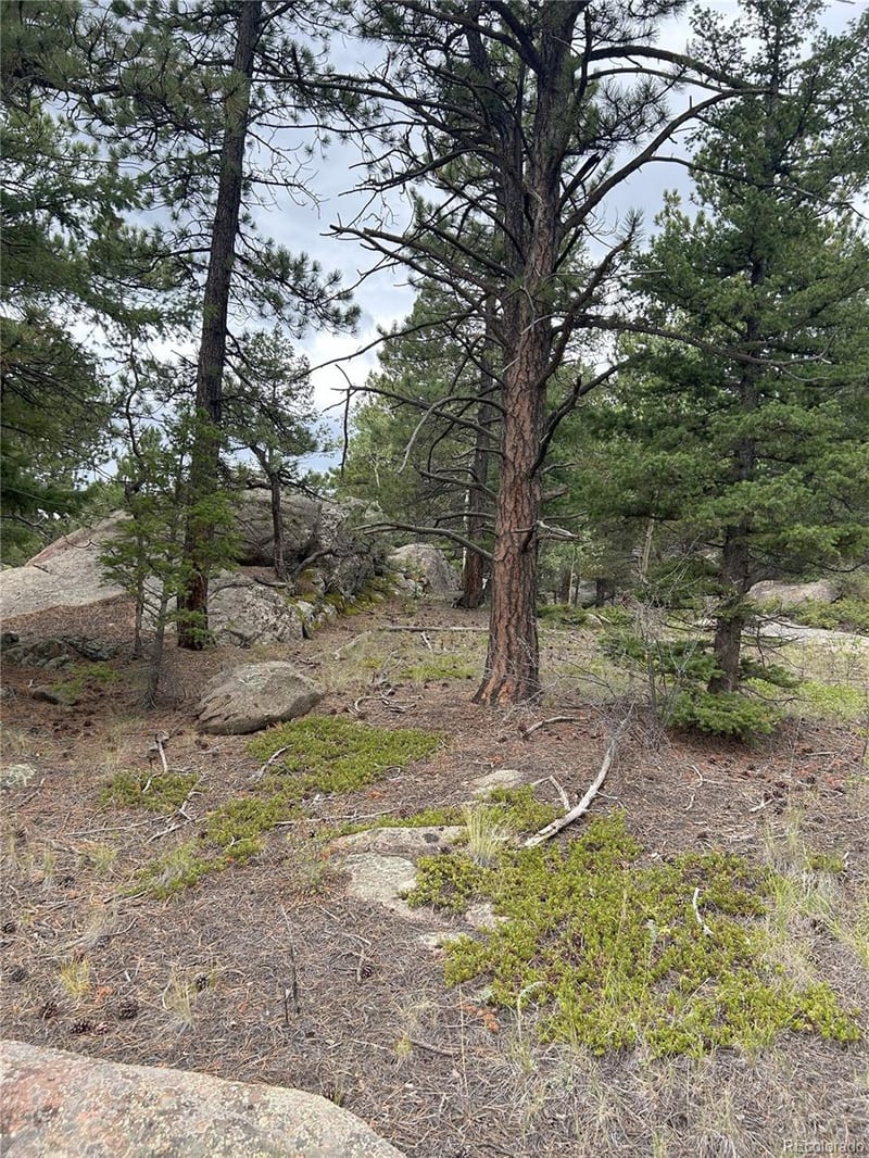 155 County Road 403, Florissant, CO 80816