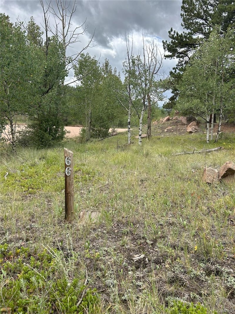 155 County Road 403, Florissant, CO 80816