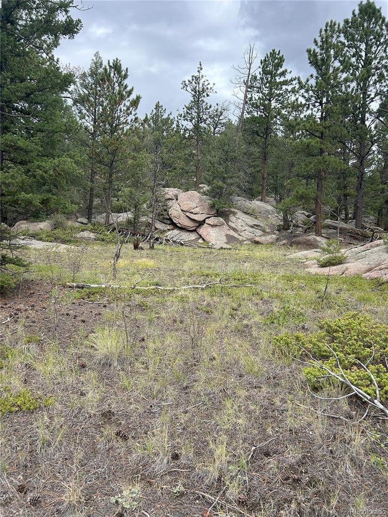 155 County Road 403, Florissant, CO 80816