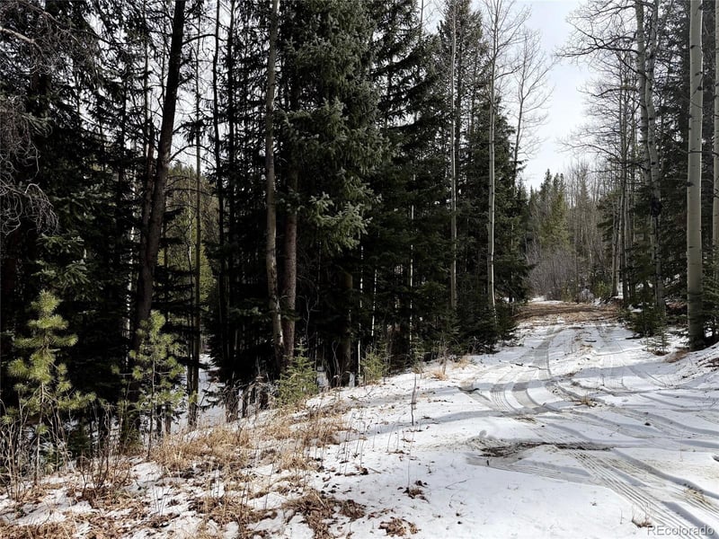 185 Columbine Dr, Idaho Springs, CO 80452