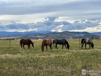 612 County Road 74, Wellington, CO 80549