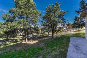 17870 New London Rd, Monument, CO 80132