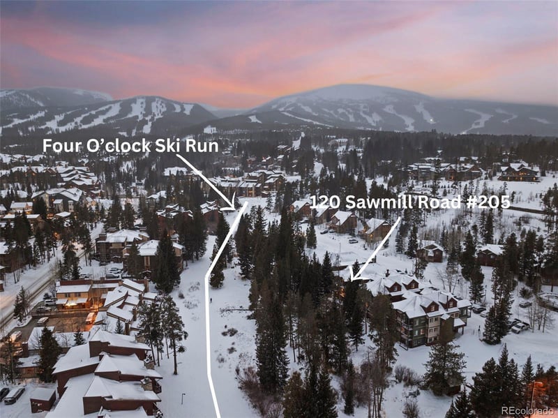 120 Sawmill Rd #205, Breckenridge, CO 80424