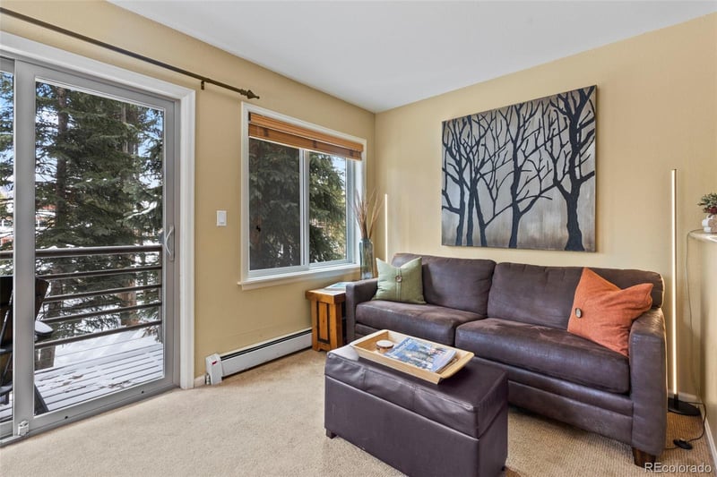 120 Sawmill Rd #205, Breckenridge, CO 80424