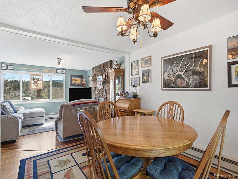 399 Conifer Dr, Bailey, CO 80421