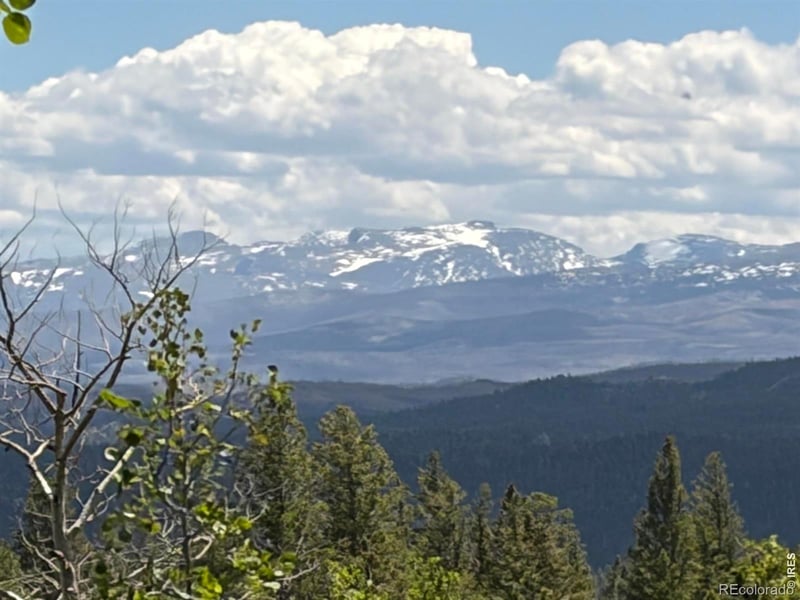 115 Wenro Ct, Red Feather Lakes, CO 80545