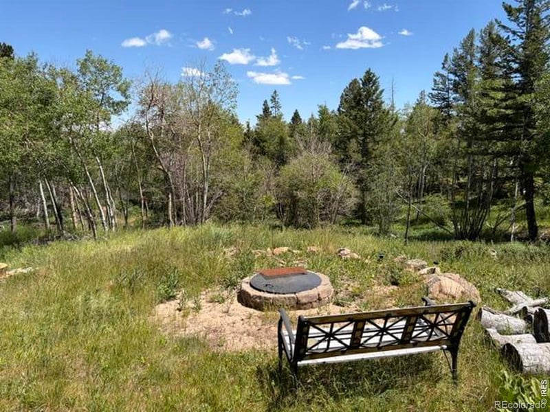 115 Wenro Ct, Red Feather Lakes, CO 80545